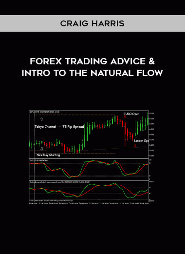 Craig Harris – Forex Trading Advice & Intro to The Natural Flow