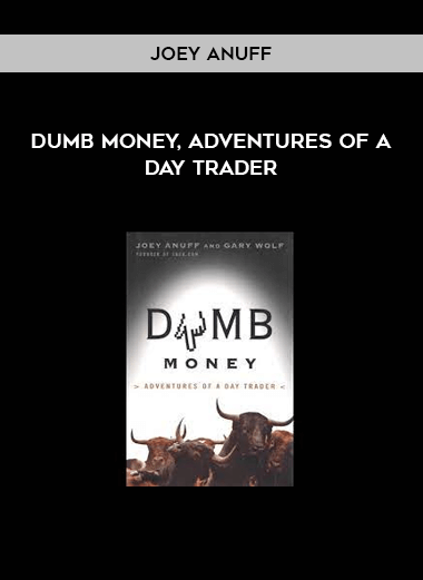 Dumb Money, Adventures of a Day Trader by Joey Anuff