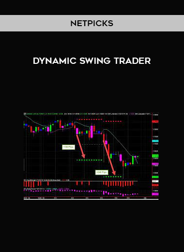 Dynamic Swing Trader by NETPICKS