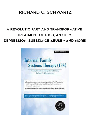 A Revolutionary and Transformative Treatment of PTSD, Anxiety, Depression, Substance Abuse - and More! by Richard C. Schwartz