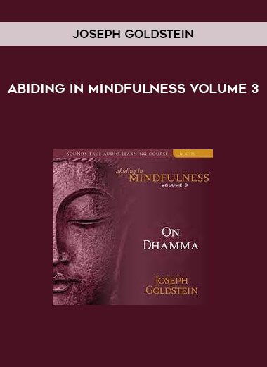 ABIDING IN MINDFULNESS VOLUME 3 by Joseph Goldstein