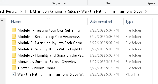 H.H. Chamgon Kenting Tai Situpa - Walk the Path of Inner Harmony & Joy