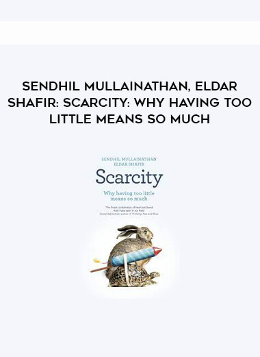 Sendhil Mullainathan, Eldar Shafir: Scarcity: Why Having Too Little Means So Much