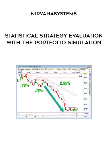 Statistical Strategy Evaluation with the Portfolio Simulation from Nirvanasystems