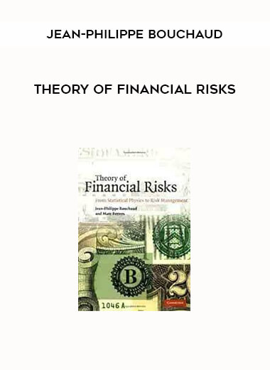 Theory of Financial Risks by Jean-Philippe Bouchaud