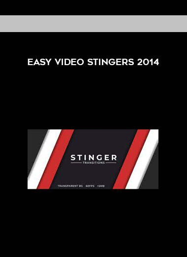 Easy Video Stingers 2014