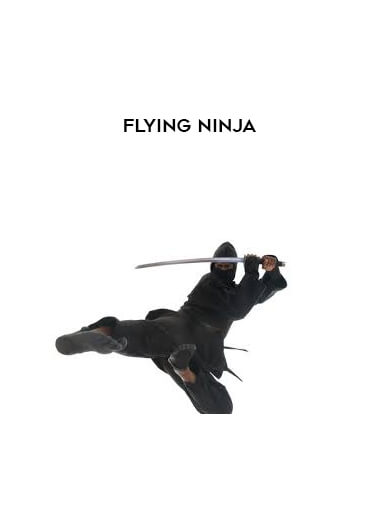 Flying Ninja