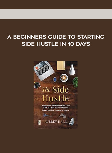 A beginners guide to starting Side Hustle in 10 days