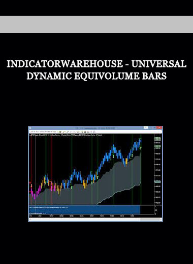 Indicatorwarehouse - Universal Dynamic EquiVolume Bars