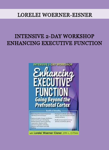 Intensive 2-Day Workshop Enhancing Executive Function from Lorelei Woerner-Eisner