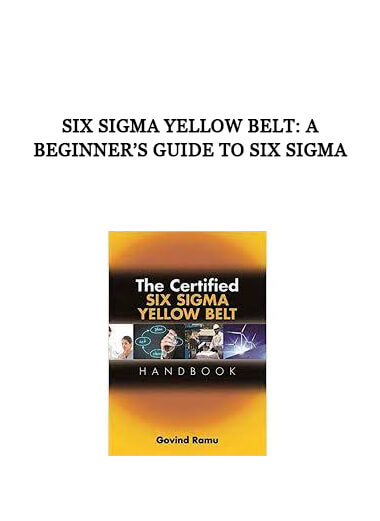 Six Sigma Yellow Belt: A Beginner’s Guide to Six Sigma