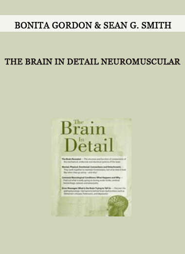 The Brain in Detail Neuromuscular from Bonita Gordon & Sean G. Smith