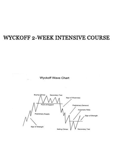 Wyckoff 2-week intensive course