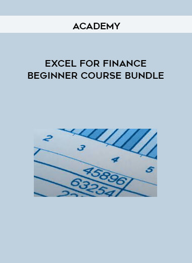 Academy - EXCEL FOR FINANCE BEGINNER COURSE BUNDLE