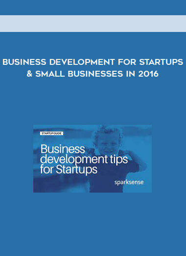 Business Development for Startups & Small Businesses in 2016