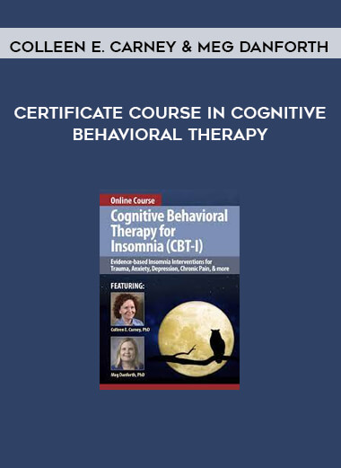 Certificate Course in Cognitive Behavioral Therapy from Colleen E. Carney & Meg Danforth