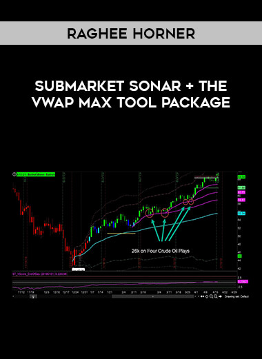 Raghee Horner - Submarket Sonar + The VWAP Max Tool Package of https://crabaca.store/