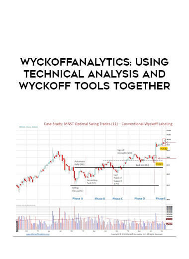 Wyckoffanalytics: Using Technical Analysis and Wyckoff Tools Together of https://crabaca.store/