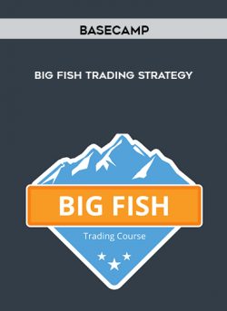 Basecamptrading - Big Fish Trading Strategy of https://crabaca.store/