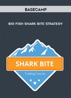 Big Fish Shark Bite Strategy of https://crabaca.store/