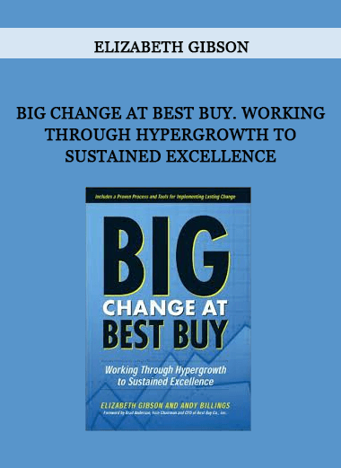 Big Change at Best Buy. Working Through Hypergrowth to Sustained Excellence by Elizabeth Gibson of https://crabaca.store/