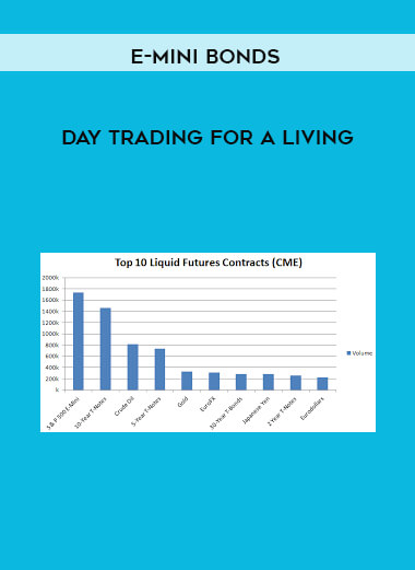 E-mini Bonds - Day Trading For A Living of https://crabaca.store/