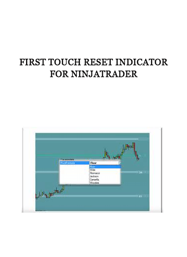 First Touch Reset Indicator for NinjaTrader of https://crabaca.store/