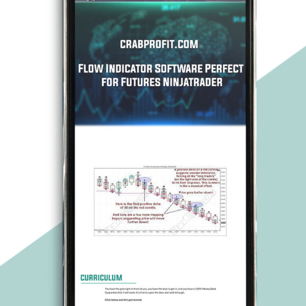 Flow Indicator Software Perfect for Futures Ninjatrader of https://crabaca.store/