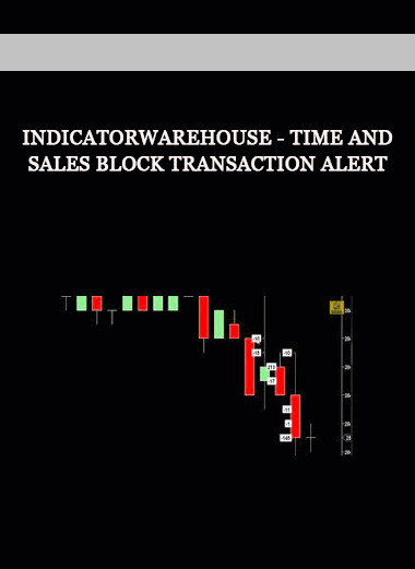 Indicatorwarehouse - Time and Sales Block Transaction Alert of https://crabaca.store/