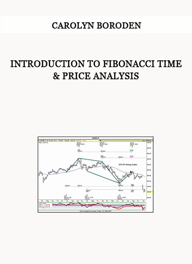 Introduction to Fibonacci Time & Price Analysis by Carolyn Boroden of https://crabaca.store/