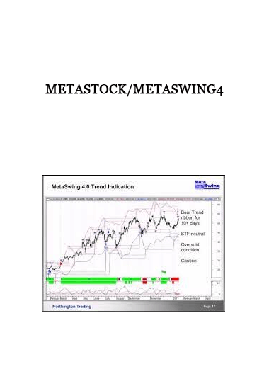 MetaStock/MetaSwing4 of https://crabaca.store/