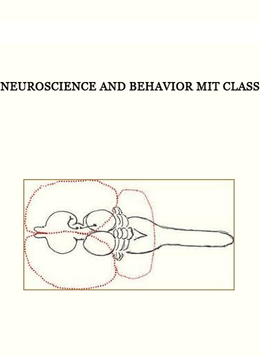 Neuroscience and Behavior MIT Class of https://crabaca.store/