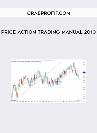 Price Action Trading Manual 2010 of https://crabaca.store/