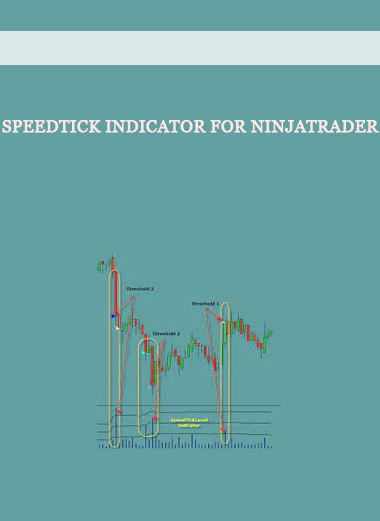 SpeedTick Indicator for NinjaTrader of https://crabaca.store/