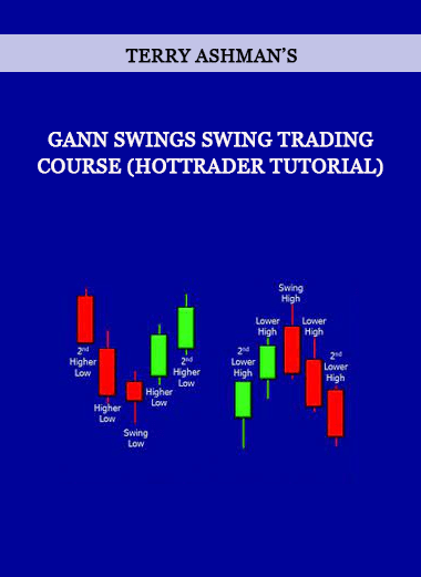 Terry Ashman’s Gann Swings Swing Trading Course (HotTrader Tutorial) of https://crabaca.store/