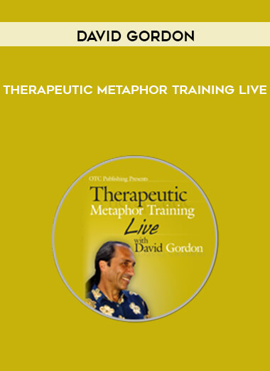 Therapeutic Metaphor Training LIVE by David Gordon of https://crabaca.store/