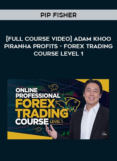 [Full Course Video] Adam Khoo Piranha Profits - Forex Trading Course Level 1 - Pip Fisher of https://crabaca.store/