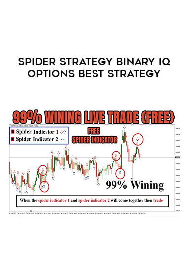 SPIDER STRATEGY BINARY IQ OPTIONS Best Strategy of https://crabaca.store/