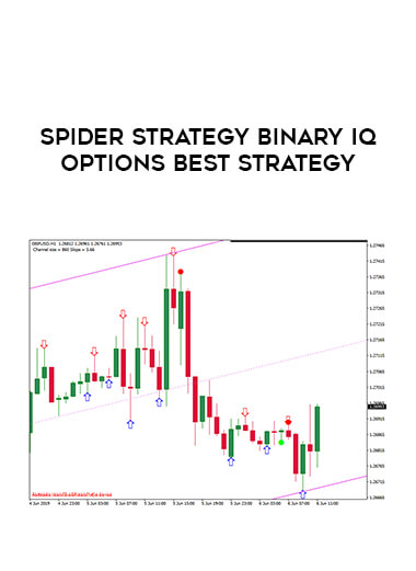 SPIDER STRATEGY BINARY IQ OPTIONS Best Strategy of https://crabaca.store/