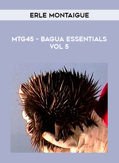 Erle Montaigue - MTG45 - Bagua Essentials Vol 5 of https://crabaca.store/