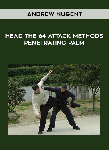 Andrew Nugent-Head The 64 Attack Methods Penetrating Palm of https://crabaca.store/