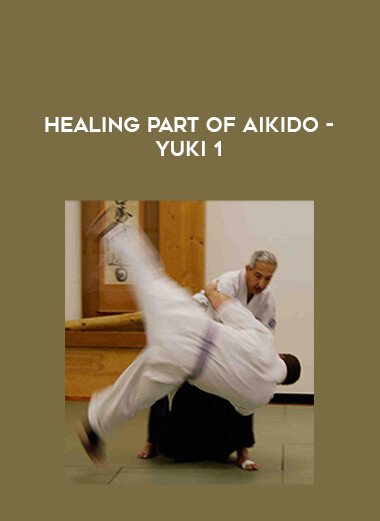 Healing part of Aikido - Yuki 1 of https://crabaca.store/