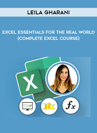 Excel Essentials for the Real World (Complete Excel Course) by Leila Gharani of https://crabaca.store/