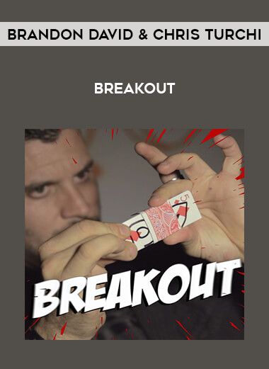 Brandon David & Chris Turchi - Breakout of https://crabaca.store/