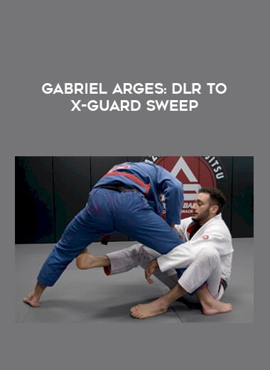 Gabriel Arges: DLR To X-Guard Sweep of https://crabaca.store/