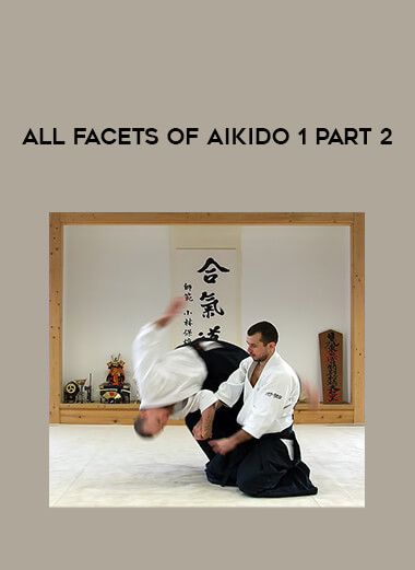 All facets of Aikido 1 part 2 of https://crabaca.store/