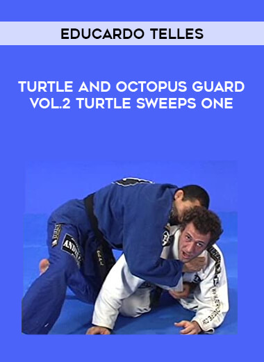 Educardo Telles - Turtle and Octopus Guard Vol.2 Turtle Sweeps One of https://crabaca.store/