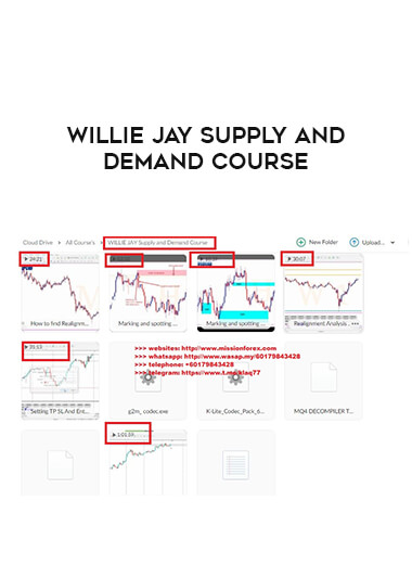 WILLIE JAY Supply and Demand Course of https://crabaca.store/