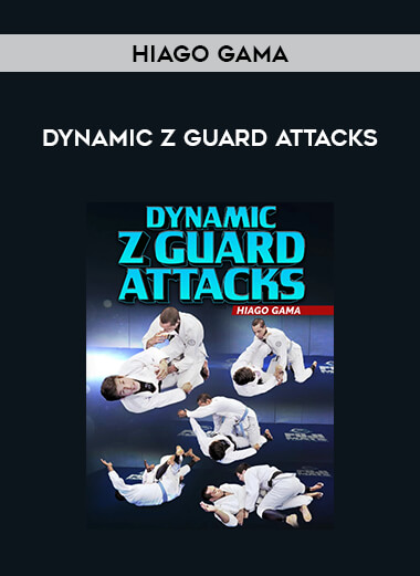 Hiago Gama - Dynamic Z Guard attacks of https://crabaca.store/