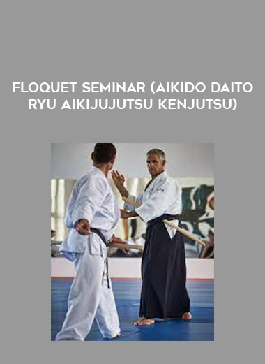 Floquet Seminar (Aikido Daito Ryu Aikijujutsu Kenjutsu) of https://crabaca.store/